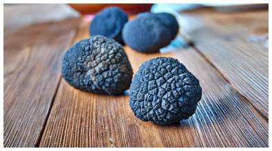 Truffes noires du Périgord