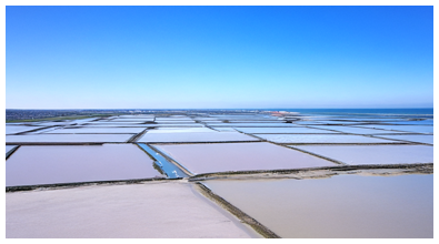 Marais salants de Guérande