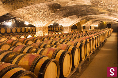 histoire-sel-de-vin-condiment-chais-bordelais-1.png